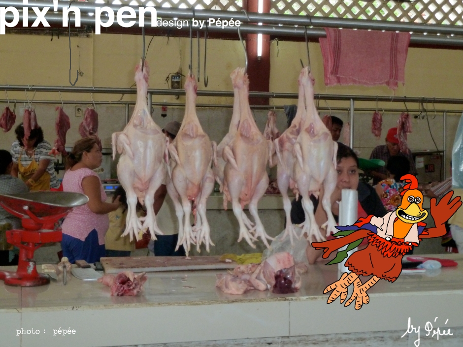 chicken run by pixnpen
